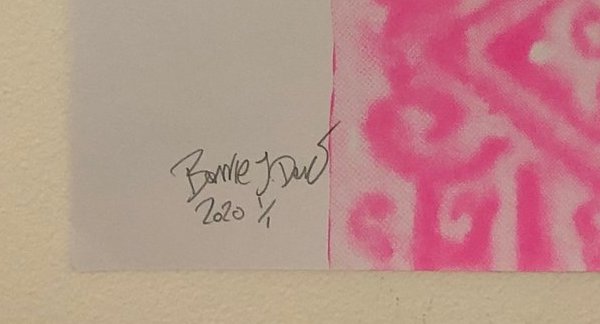Disco Biscuit Print - BARRIE J DAVIES IS AN ARTIST