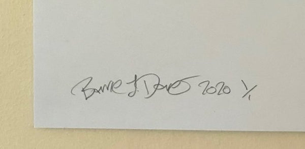 Have a butchers Print - BARRIE J DAVIES IS AN ARTIST