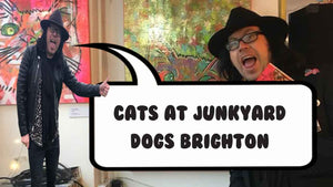 Cats at Junkyard Dogs Brighton