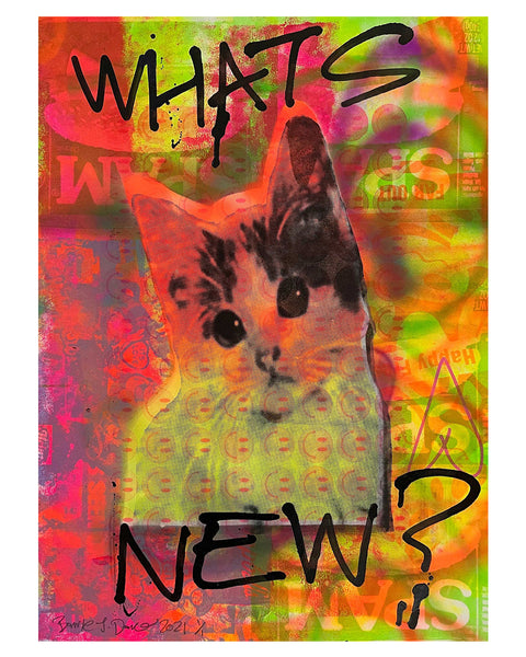Whats New Kitschy Cat Print by Barrie J Davies, unframed Silkscreen print on paper (hand finished) edition of 1/1 - A2 size 42cm x 59.4cm.