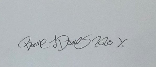 Have a butchers Print - BARRIE J DAVIES IS AN ARTIST