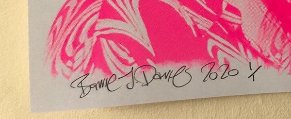 Have a butchers Print - BARRIE J DAVIES IS AN ARTIST