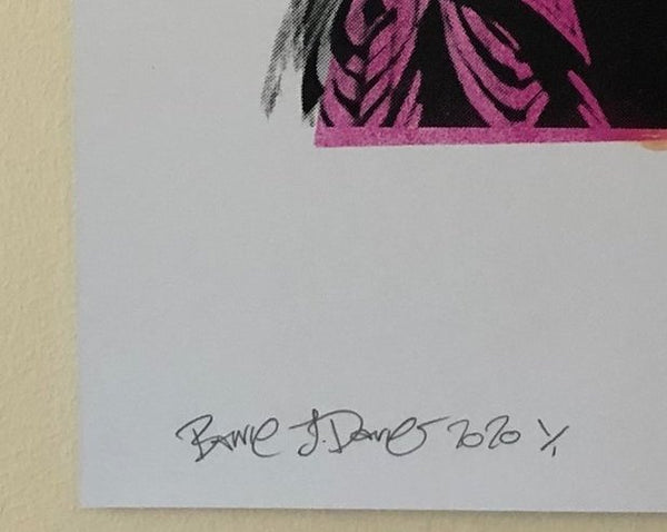 Have a butchers Print - BARRIE J DAVIES IS AN ARTIST
