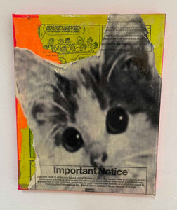 Small Kitschy cat painting, Mixed media on Canvas, 25cm x 30cm, Unframed. Buy online with free delivery worldwide to your door.